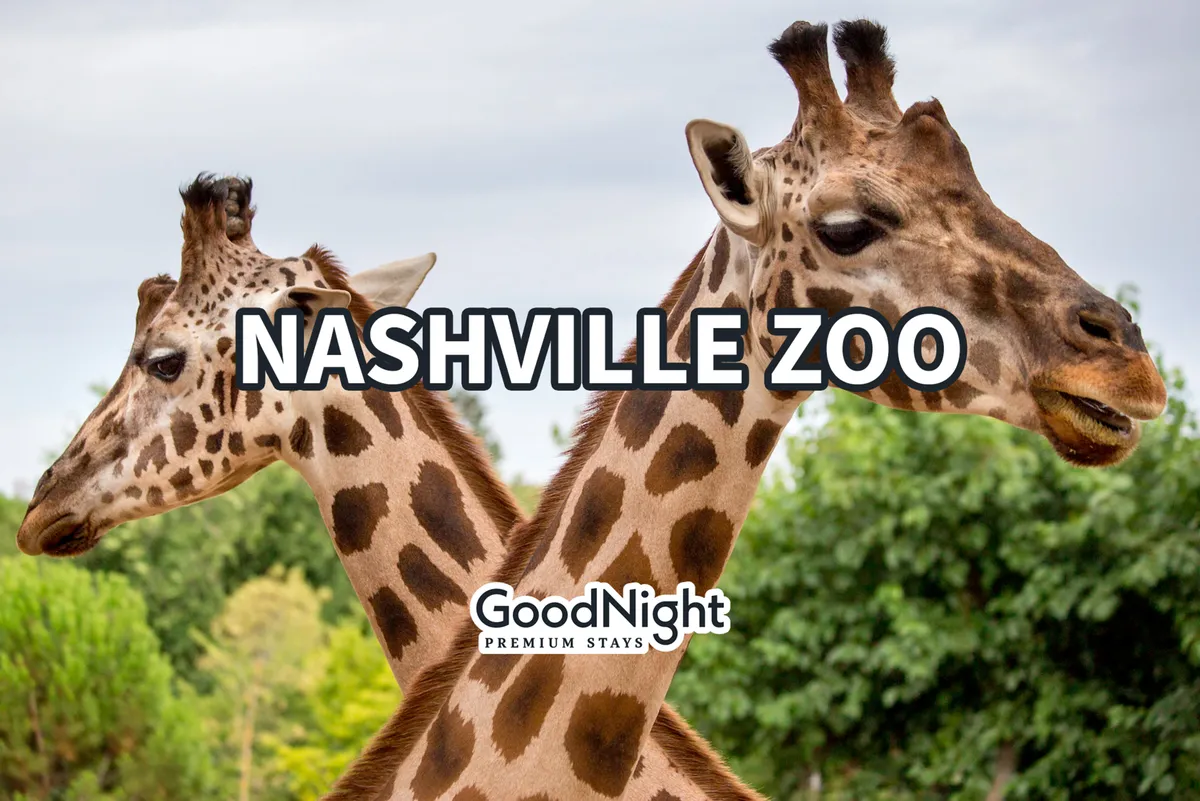 This image captures a group of giraffes surrounded by lush green foliage under a clear sky, evoking the sense of an exciting family outing to the zoo and the joy of animal watching. The scene is bright, open, and distinctly family-friendly.